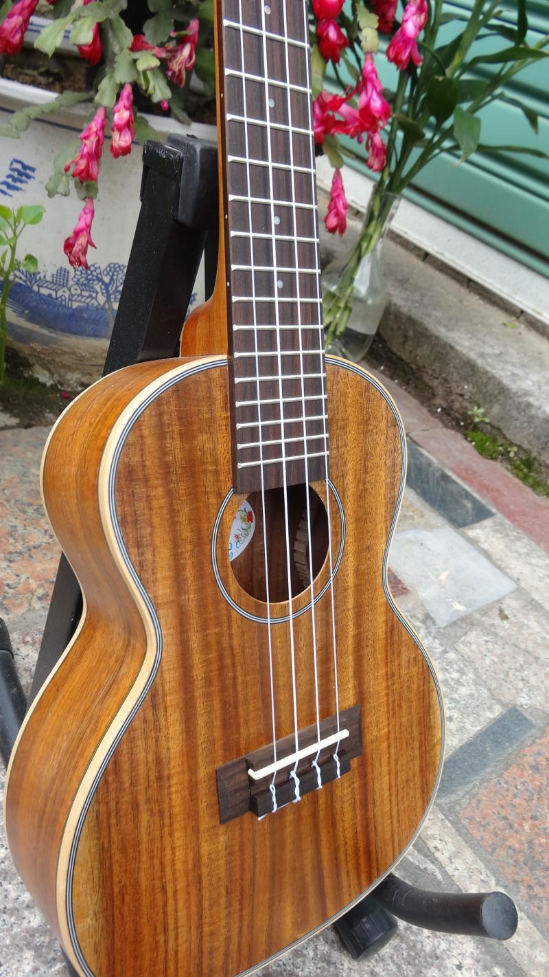 Nhạc cụ Bohai ● ukulele ukulele hanhai23 inch tất cả trong một bề mặt gỗ sáng HH-KOC - Nhạc cụ phương Tây kèn saxofon