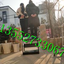 4S shelf Shell Mobil Castrol car oil display rack Lubricating oil antifreeze display rack Daily necessities shelf