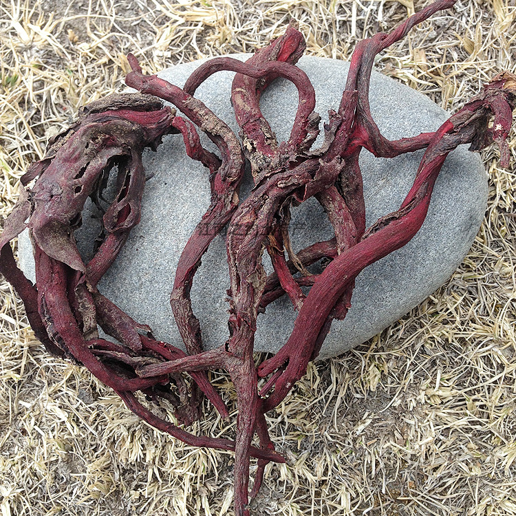 Tibetan teprolific Linzhi red ginseng Tibetan red ginseng Mountain ginseng Soup Soak Wine Material Authentic dry goods 250 gr-Taobao