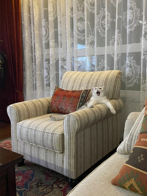 American retro simple striped cotton and linen single leisure chair French light luxury living room balcony single chair sofa chair