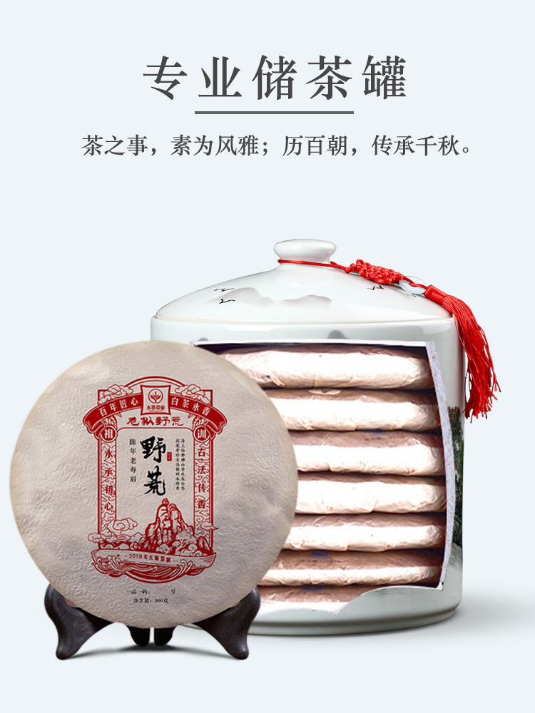 Jingdezhen caddy fixings tea cake ceramic seal pot store receives large pot of pu 'er tea bread seven receive a case