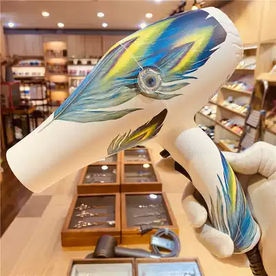 Crown quality Fire Phoenix hair dryer Fire Phoenix 8960 professional hair dryer 2200W imported motor