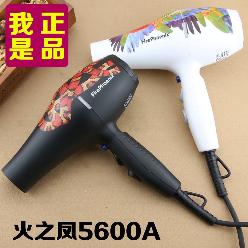 Fire's Feng 5600A Hair Dryer High Temperature Light Riding Silent Hair Salon Professional Hair Dryer