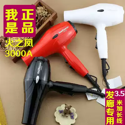 Fire Phoenix hair dryer fire Phoenix fire Phoenix high power hair salon dedicated hair dryer fire Phoenix 3000A