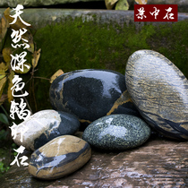 Dark blue pebbles native natural Yangtze pebbles fish tank landscaping stone garden decoration Feng Shui town house stone