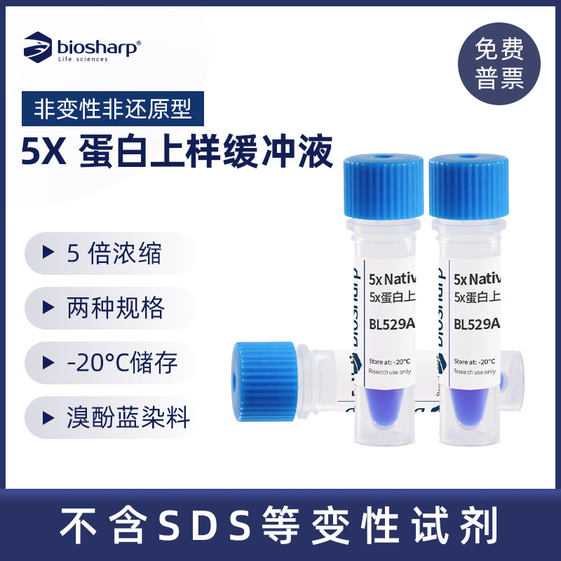 白鲨BL529A 蛋白上样缓冲液(5X)非变性非还原性 Loading Buffer