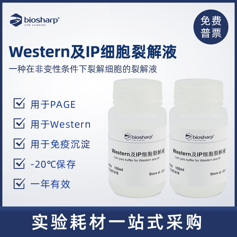 Biosharp 白鲨 Western及IP细胞裂解液 BL509A 100ml
