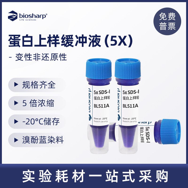 白鲨Biosharp BL511A 变性非还原性SDS-PAGE蛋白上样缓冲液(5X)