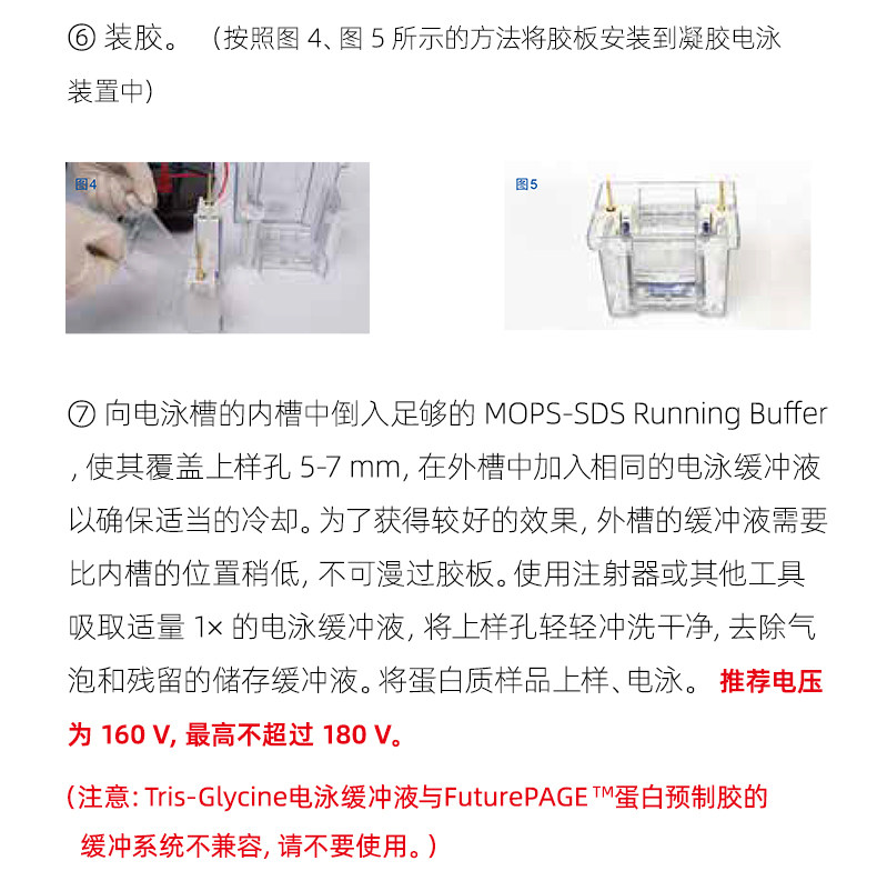 Western blot 蛋白预制胶 SDSPAGE电泳蛋白胶 MOPS 体系梯度胶淘宝网
