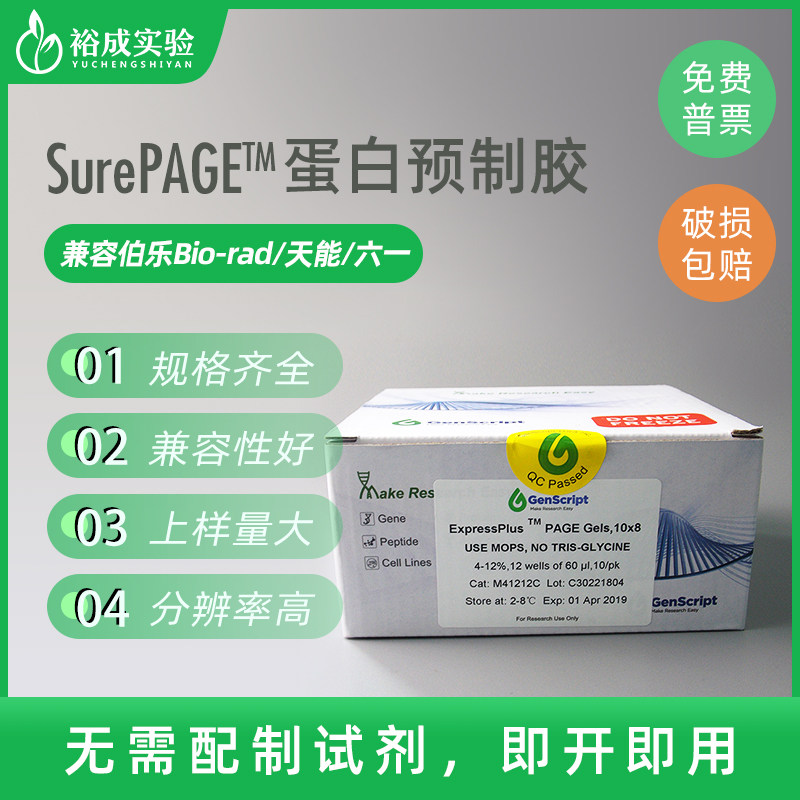 金斯瑞 Genscript SurePAGE蛋白预制胶 SDS-PAGE电泳凝胶板梯度胶