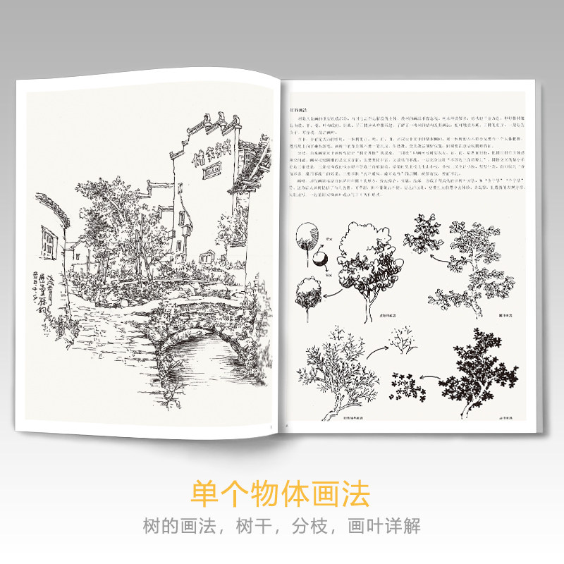 [USD 28.09] Pictured Scenic Script of the Plegan Teaching Materials of ...