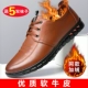 Brown Plus Fleece Model Y8550-3