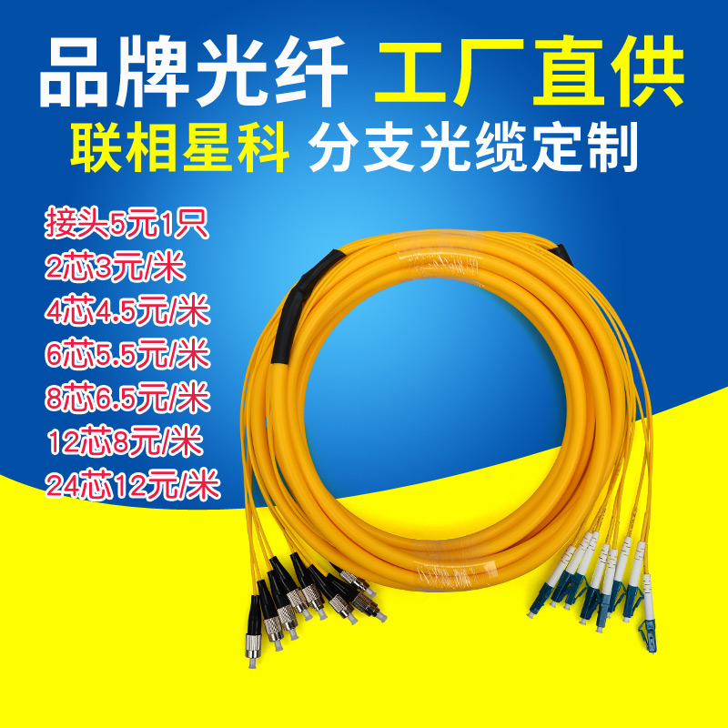 Lianxiang Xingke branch cable cluster single-mode fiber jumper SC FC LC ST custom 2 4 6 8 12-core custom set room pre-formed end pre-terminated fan-shaped APC 