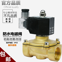  All copper 24V normally closed 220V outdoor 15 waterproof 20 solenoid valve 25 water valve 32 switch 4 points 6 points 1 2 inch DN50