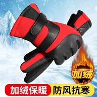 Золотой Диан (красный)