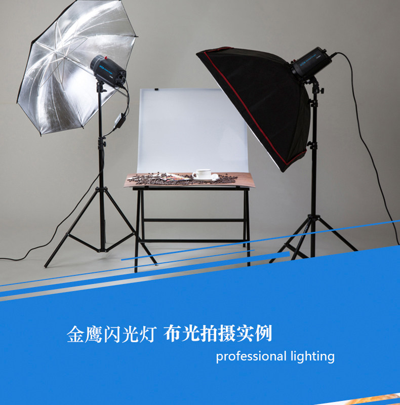 19212 Golden Eagle 300w Photo Studio Lamp Photostudio