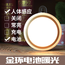 Smart human body induction night light led aisle Household rechargeable automatic voice control light control Corridor corridor wall light