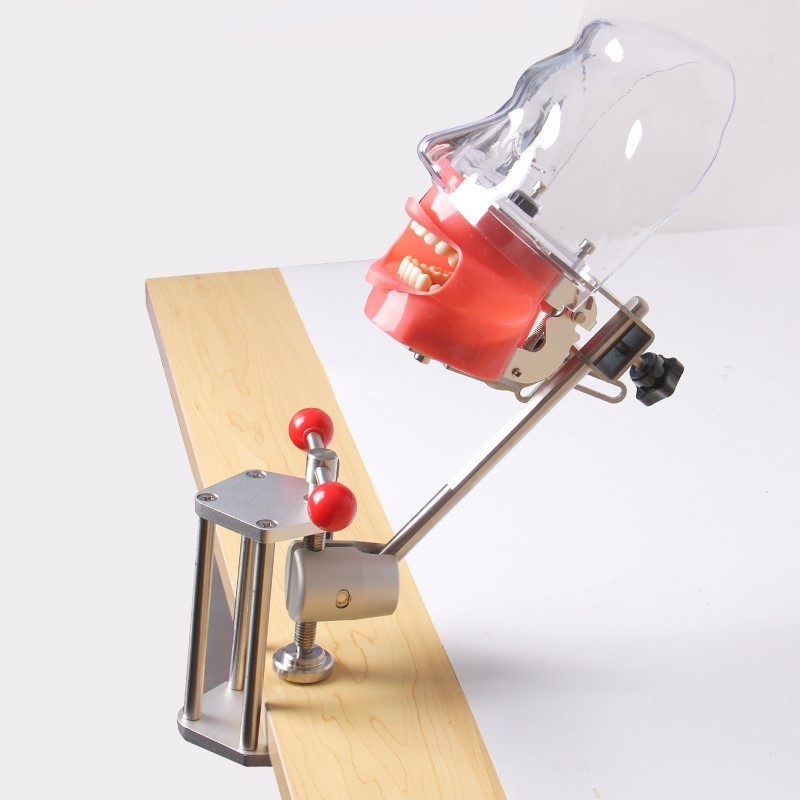 牙科材料口腔备牙模型器械工具离体牙备牙种植树脂牙简易仿真头模