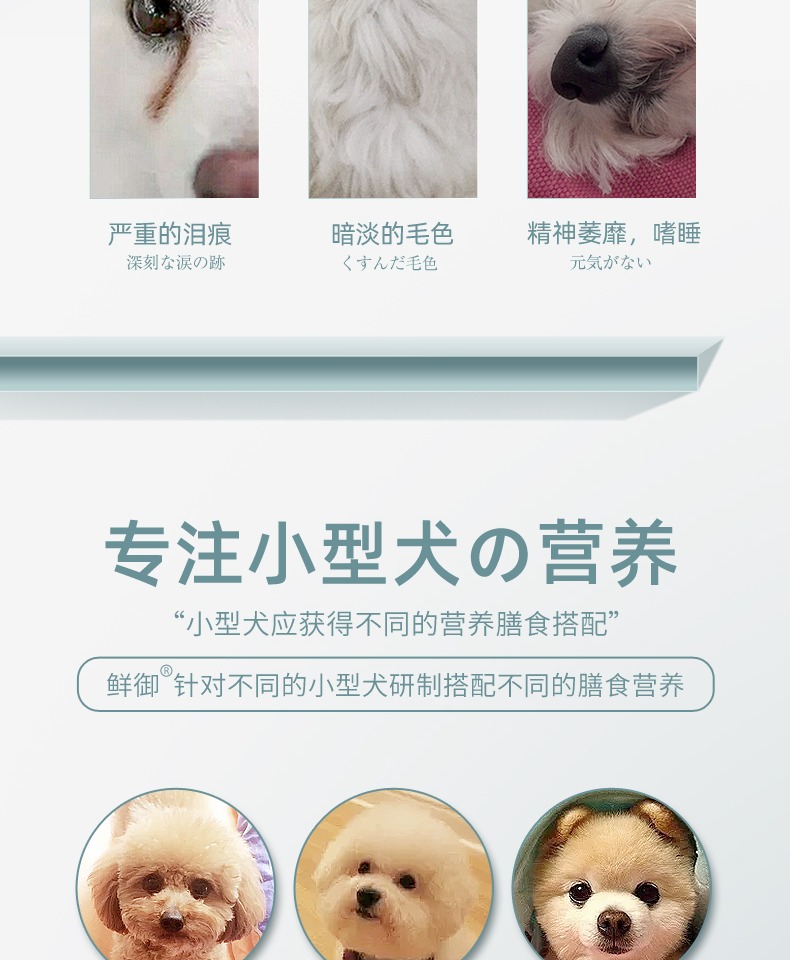 [Thức ăn cho chó Teddy Hoàng gia tươi] Thức ăn chủ yếu của chó Poodle Thức ăn cho chó con của Nhật Bản Chó nhỏ chó trưởng thành 4,8 kg - Chó Staples hạt ganador