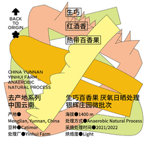 A minority coffee bean goes to the origin series Ingenu Anaerobic Solar Sun Treatment Silver Brilliance Estate Microbatches