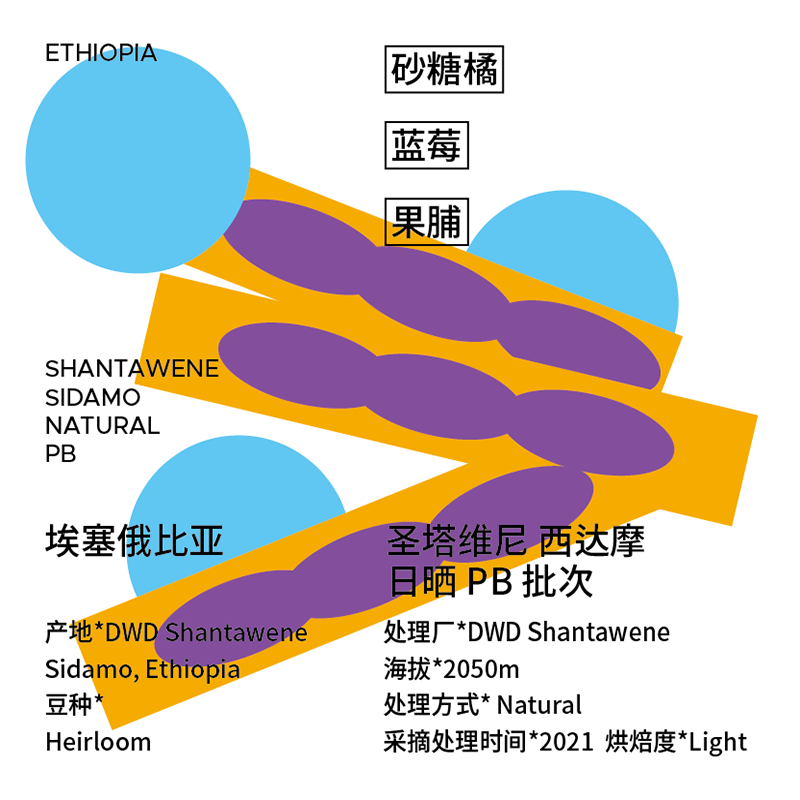 Minority coffee beans Ethiopian coffee beans Santavini Sidamo sun-dried small round beans boutique hand-brewed coffee beans