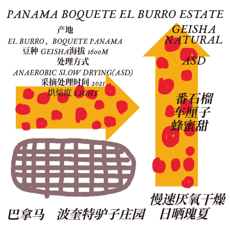 Minority coffee beans Panamanian donkey ASD Day sunburn Summer coffee beans Fresh baking handmade coffee beans