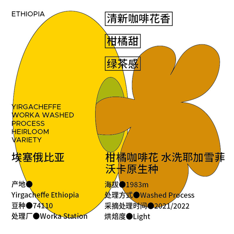 Minority coffee beans Ethiopia washed yega snowy native species 74110 hand flush coffee beans 150g