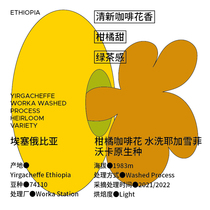 Minority coffee beans Ethiopia washed yega snowy native species 74110 hand flush coffee beans 150g