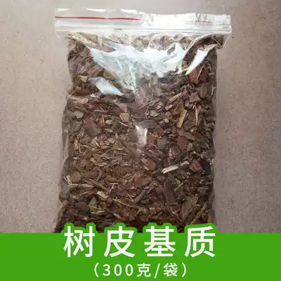 Huo Zhibao authentic Dendrobium seedling potted Huoshan Jinchai Drumstick Potted Sheep Dung Matrix Flower Pot