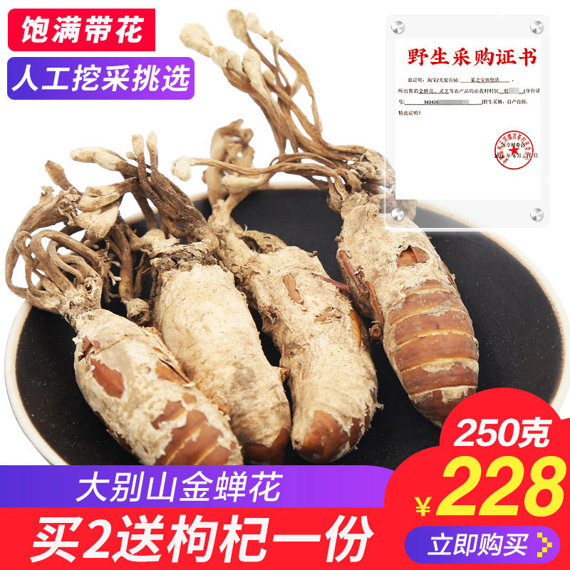 2021 Grand mountain golden cicadas wild new stock 250g Chan Flower cicadas Cicadas powder is known for the golden silkworm flower Zen flower