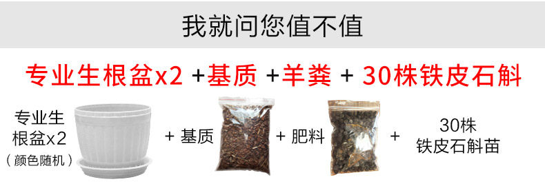 0701 Саженцы 3 горшки 790_03.jpg