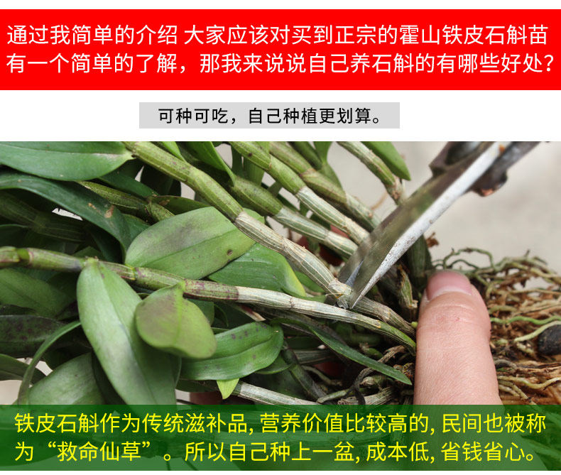 0226 Iron 4 Miao 790_15.jpg