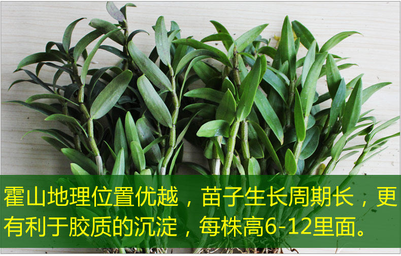 0226 Iron 4 Miao 790_13.jpg