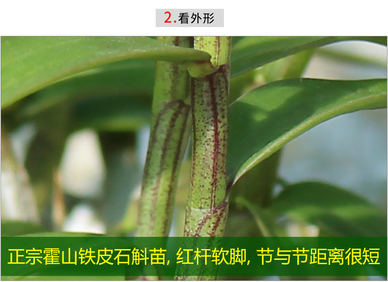 0226 Iron 4 Miao 790_10.jpg