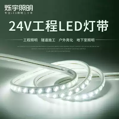 24v low voltage light strip LED long line light SMD double row luminous outdoor lighting Outdoor lighting Waterproof super bright