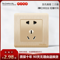 TCL Dbc switch socket 86 type concealed 5-hole socket 23 plug-in power home wall wire drawing gold panel
