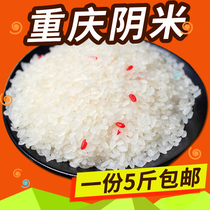 Yin rice glutinous rice Chongqing farmhouse homemade frozen rice pregnant women moon rice Yin rice farm cooked glutinous rice 5kg