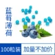 Набор из 100 зерновых ароматов Blueberry Mint (включая инструменты)