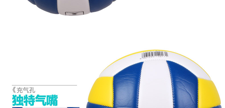 Ballon de volley - Ref 2010982 Image 14