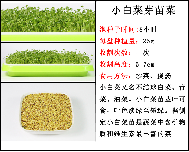 芽苗菜の種もやし菜種大豆落花生小麦草大根エンドウ豆香椿空心菜オクラ野菜の種,タオバオ代行-チャイナトレーディング