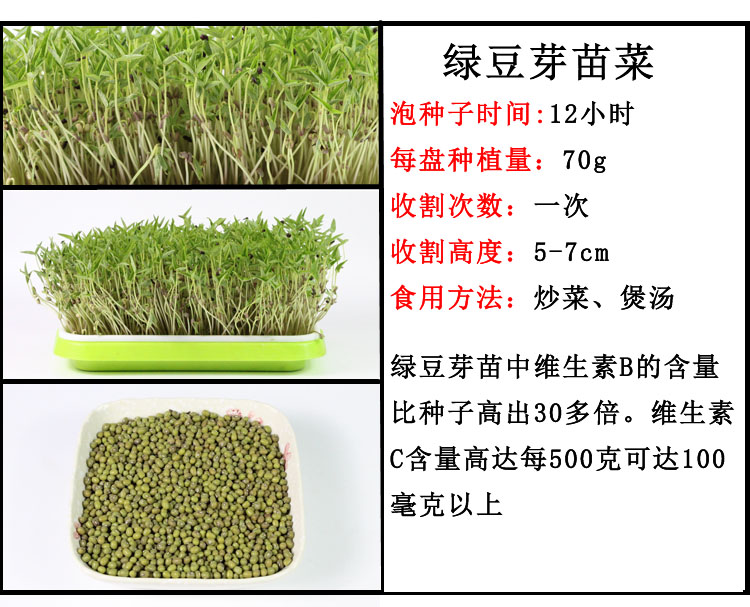 芽苗菜の種もやし菜種大豆落花生小麦草大根エンドウ豆香椿空心菜オクラ野菜の種,タオバオ代行-チャイナトレーディング