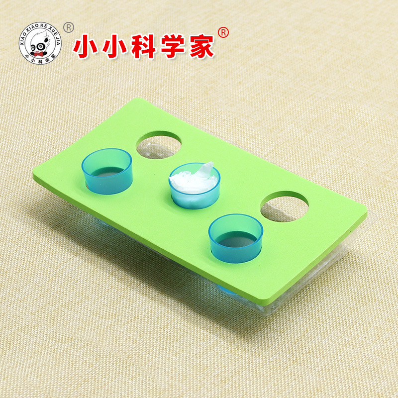 STEM scientific exploration of experimental seeds germination small experimental seeds cultivation technology production of science experiments for primary school students