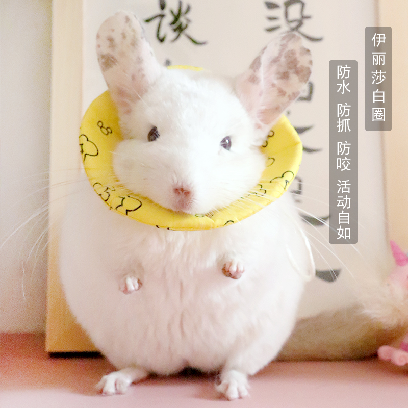 Chinchilla Elizabeth circle shame circle soft anti-bite hair waterproof anti-scratch anti-scratch non-stick hair adjustable neck cover