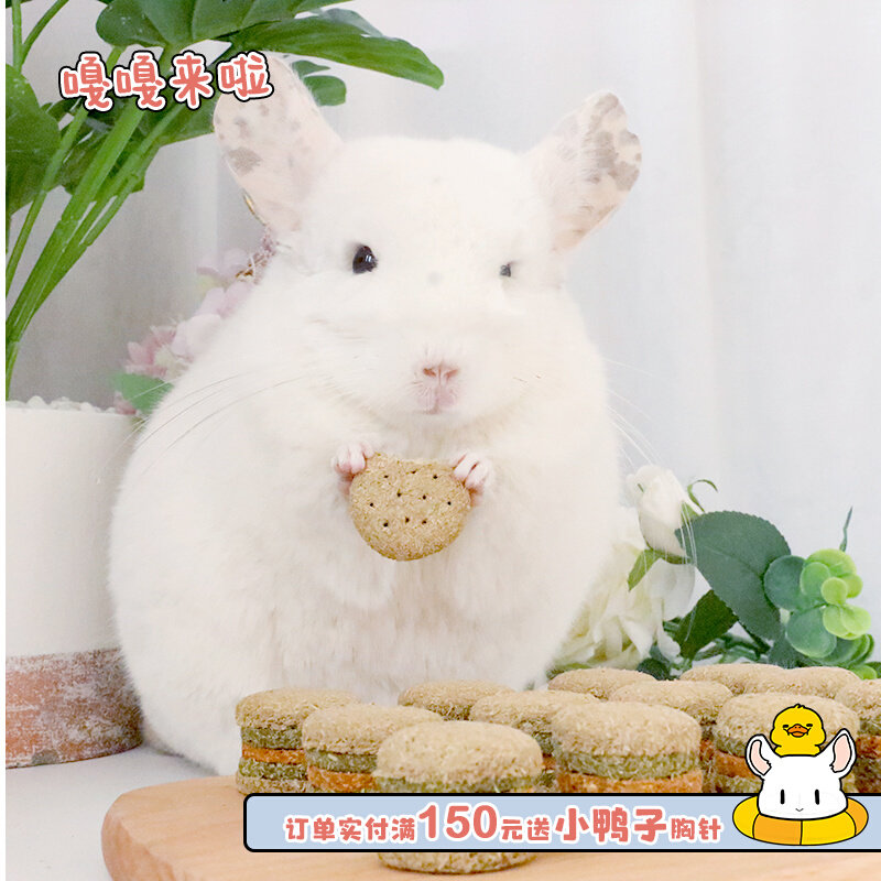 Store length homemade pet dragon cat rabbit guinea hamster hamburger grinding tooth Moses clover clover Australian wheat straw cake snacks