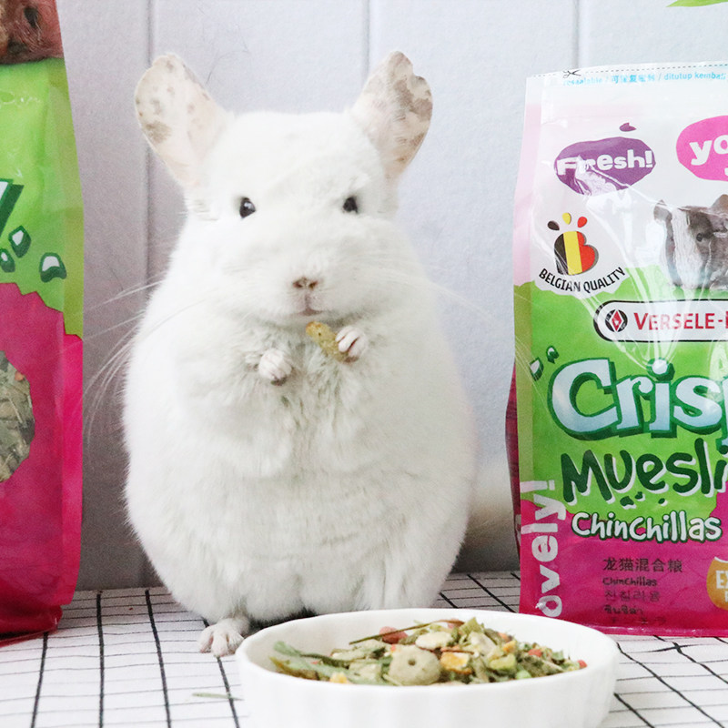 Belgian Versailles chinchilla grain silk hair rat fruit and vegetable mixed nutrition staple food beauty hair skin care series feed 750g