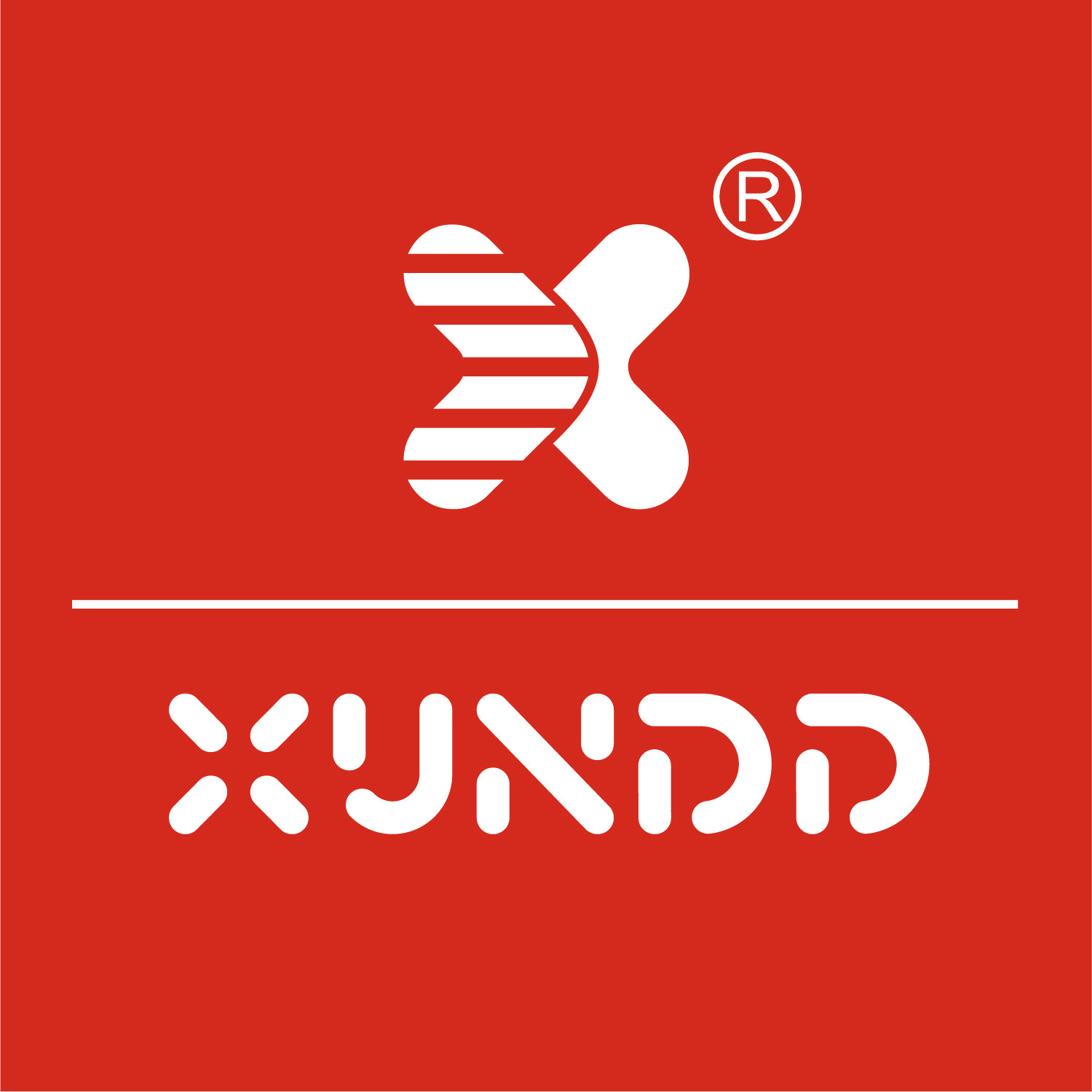 讯迪旗舰店的LOGO