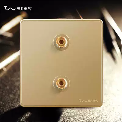 Tiansheng electrical speaker plug socket panel audio socket wall plug two-head speaker socket multimedia dual audio