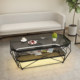 Simple Small Apartment Coffee Table, Creative Living Room Rectangular Iron Art Glass Table, Popular in Guesthouses, Clothing Stores, and Beauty Salons