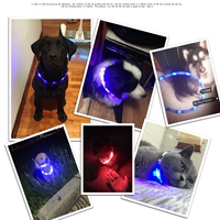 Pet Product Puppy Dog Light Luminous воротник USB Зарядка ночная легкая флуоресцентная золотая кошка средняя маленькая собака