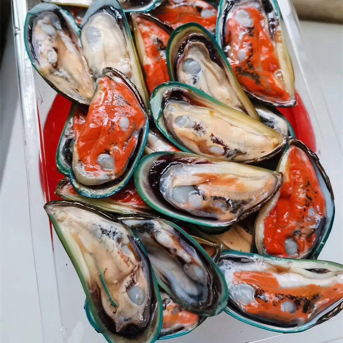 青口贝：鲜活海鲜批发的海洋宝藏